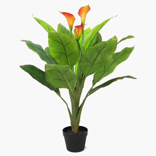 Arum – 85cm