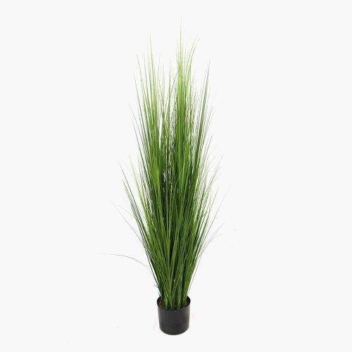 Grandes Herbes – 120cm