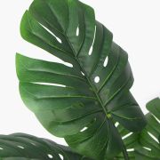 Monstera – 120cm