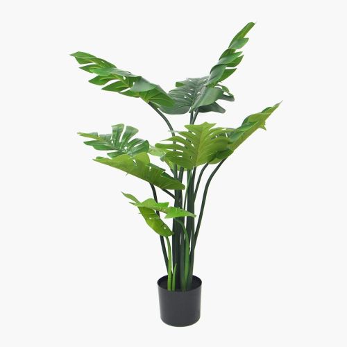 Monstera – 120cm