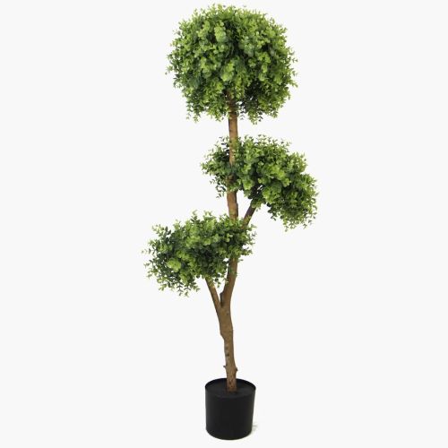 Ficus Bonsaï – 150cm