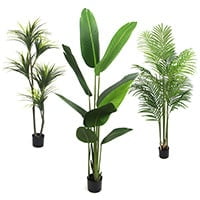 Plantes 120 - 160 cm